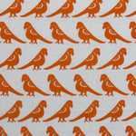 Parrots - Orange on White