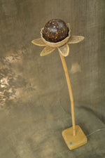 Cocovase shell Lamp 1