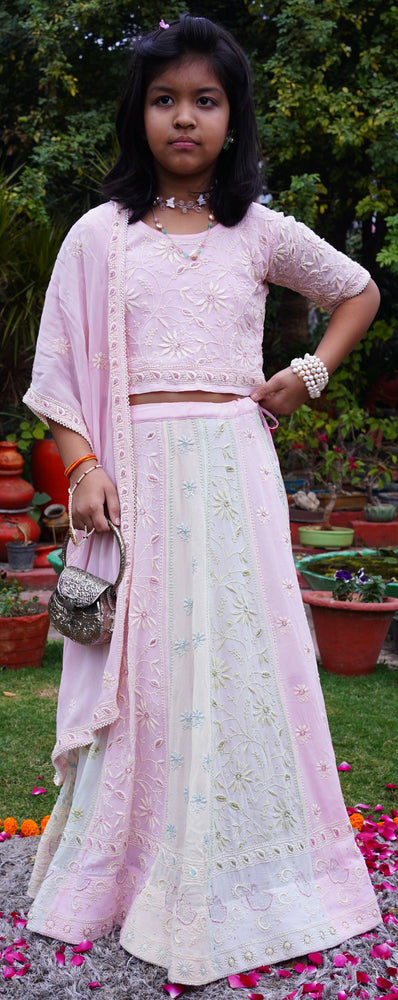 Rajkumari Multi Coloured Chikankari Lehenga With Cut Dana And Hand Embroidery