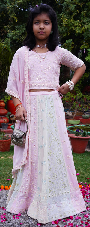 Rajkumari Multi Coloured Chikankari Lehenga With Cut Dana And Hand Embroidery