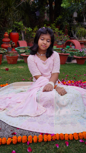 Rajkumari Multi Coloured Chikankari Lehenga With Cut Dana And Hand Embroidery