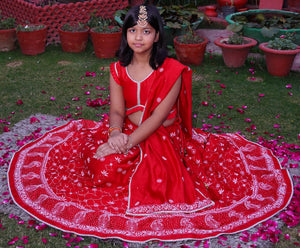 Showstopper Red Lotus And Mukaish Lehenga On Pure Chanderi