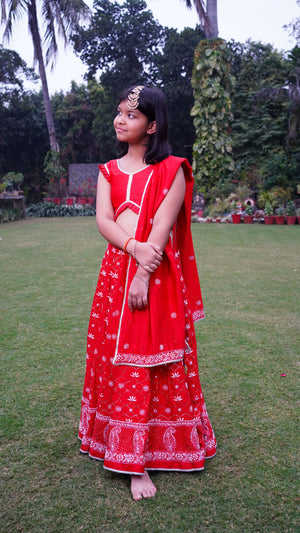 Showstopper Red Lotus And Mukaish Lehenga On Pure Chanderi
