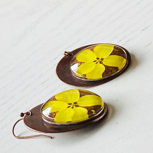 Round Copper Earrings with Glass - Laburnum