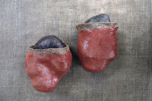 Imli Pods 02