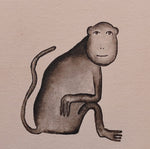 बन्दर - Monkey