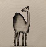 ऊँठ - Camel