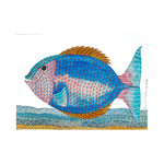 Fish