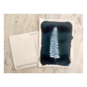 Precoated Cyanotype Postcards