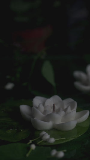 
                
                    Load and play video in Gallery viewer, Lotus Leaf Candle
                
            