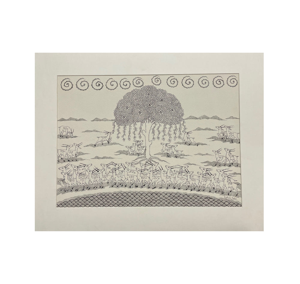 PHAD: LINE DRAWING- DEER