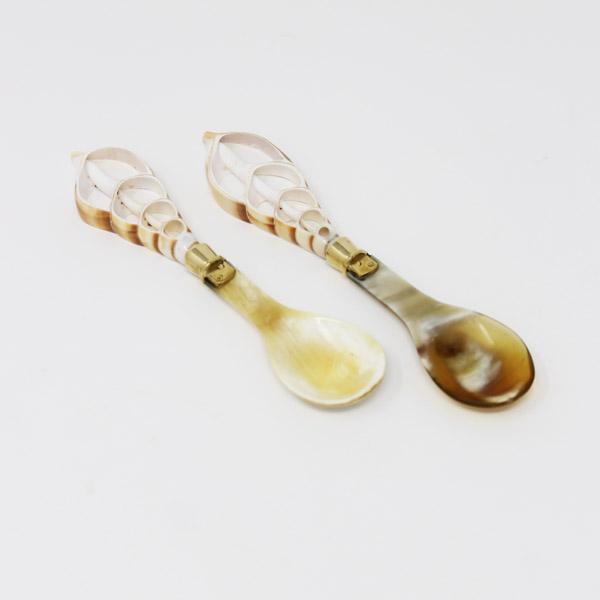 Sea Shell Spoon