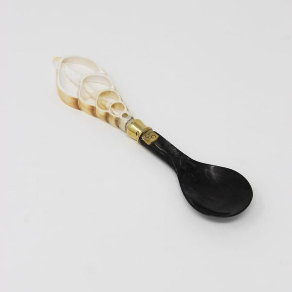 Sea Shell Spoon