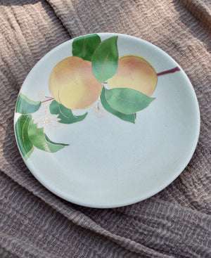 
                
                    Load image into Gallery viewer, Postcards from Simla - Apricot Appetizer Plates (Set of 4)
                
            