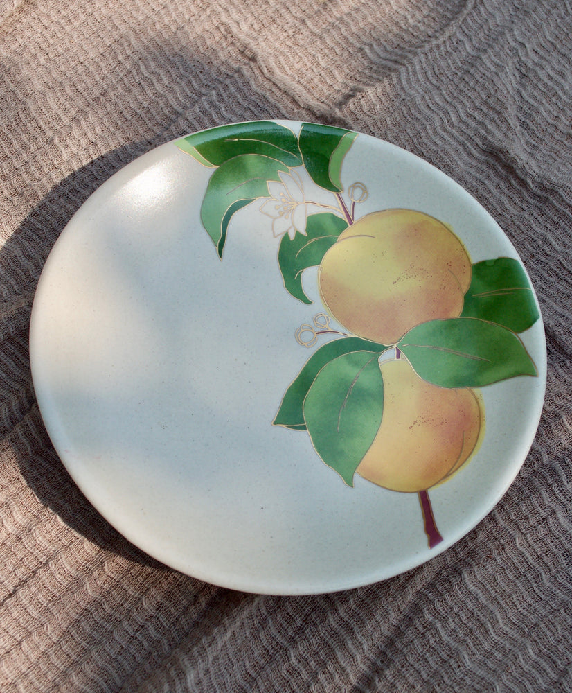 
                
                    Load image into Gallery viewer, Postcards from Simla - Apricot Appetizer Plates (Set of 6)
                
            