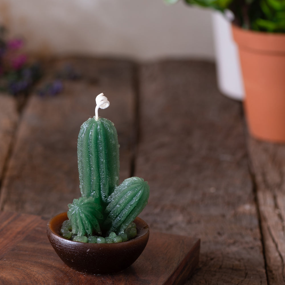 Citrus-Scented Cactus Candle (Medium)