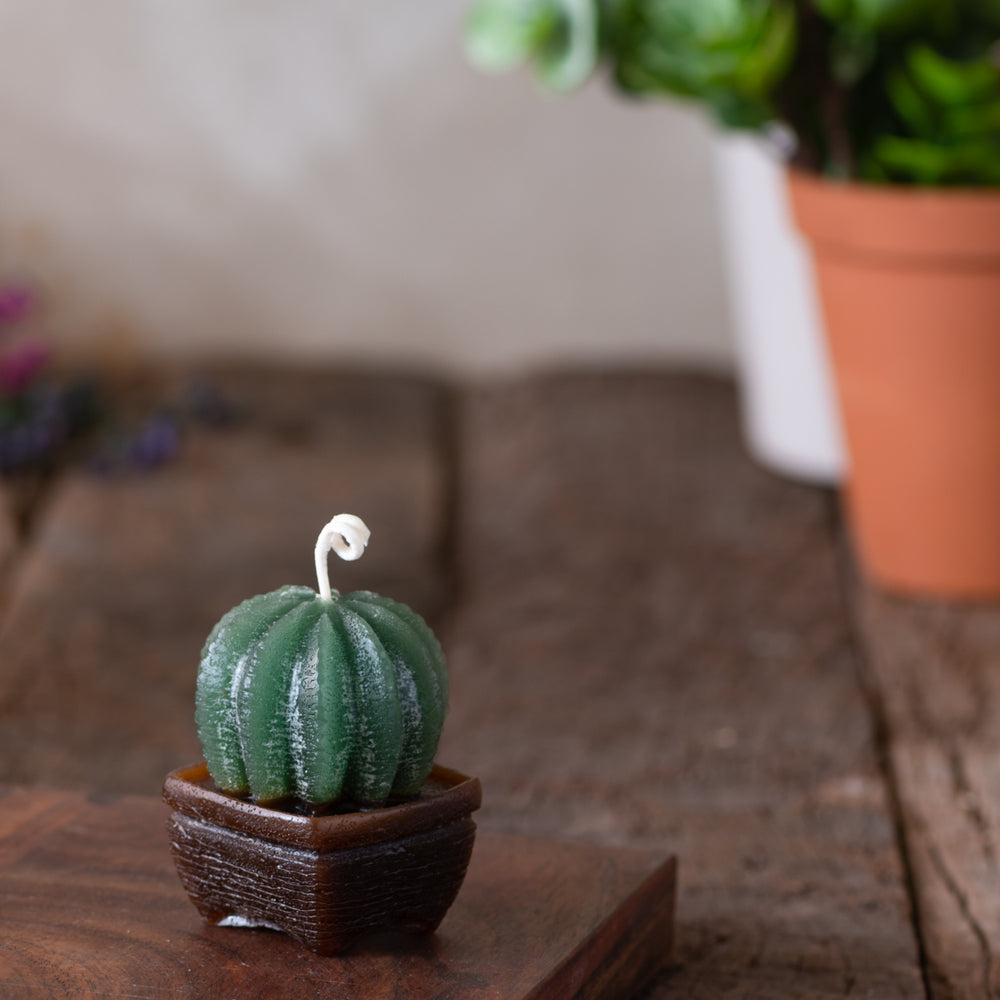 Citrus-Scented Cactus Candle (Small)