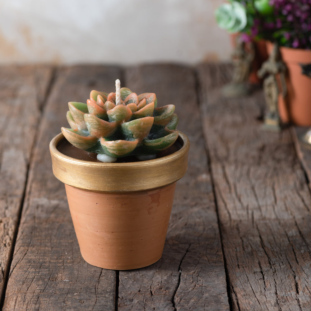 Terracotta & Gold Lotus Candle Pot