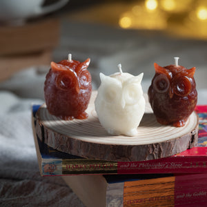 
                
                    Load image into Gallery viewer, Box Set of 3 Owl Candles
                
            