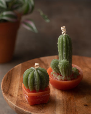 
                
                    Load image into Gallery viewer, Cactus Candles - Set Of 2
                
            