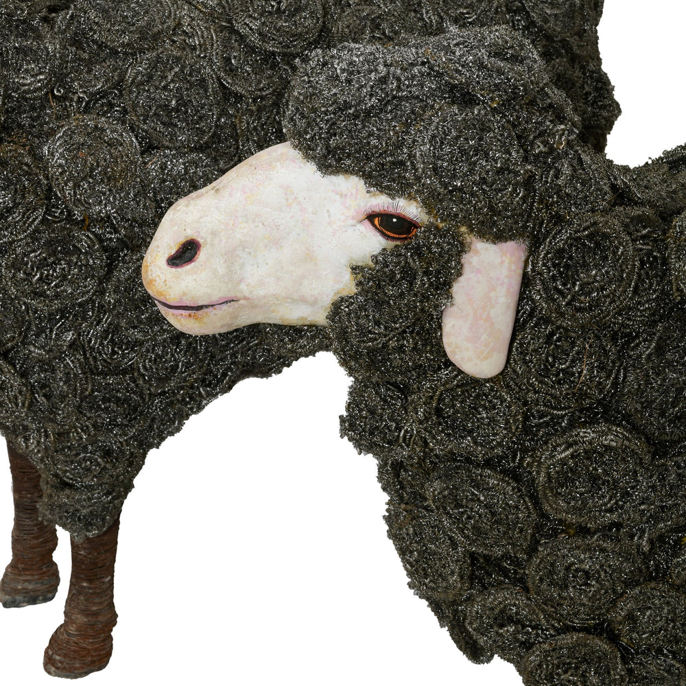 
                
                    Load image into Gallery viewer, Wolf in Sheep’s Clothing
                
            