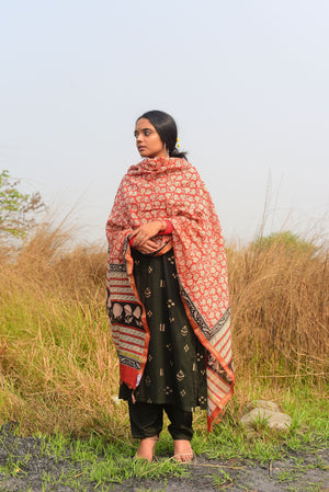 
                
                    Load image into Gallery viewer, Kaisori Chanderi Silk Cotton Dupatta - Bagru
                
            