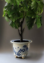 Old Soul Planter II