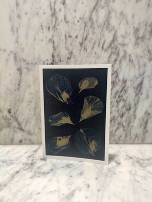 Precoated Cyanotype Greeting Cards