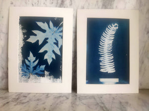 
                
                    Load image into Gallery viewer, DIY Cyanotype Kit - A5
                
            