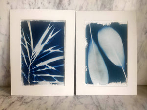 
                
                    Load image into Gallery viewer, DIY Cyanotype Kit - A5
                
            
