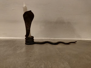 
                
                    Load image into Gallery viewer, Coiled Snake
                
            