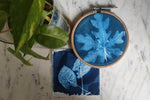 DIY Cyanotype Kit - Fabric