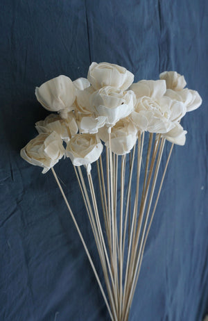 Shola Roses - Bunch of 25