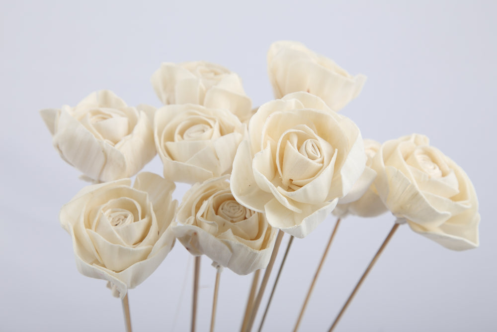 Shola Roses - Bunch of 25