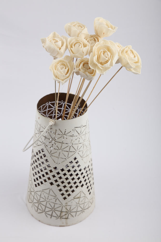 Shola Roses - Bunch of 25