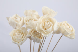 Shola Roses - Bunch of 25