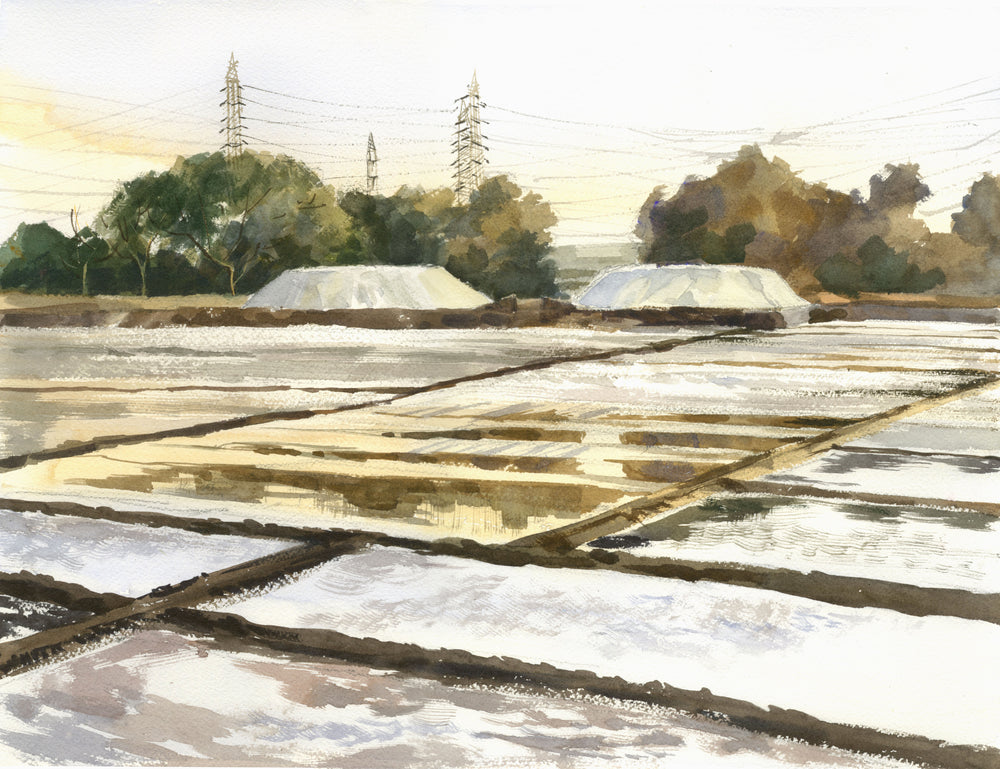 
                
                    Load image into Gallery viewer, Salt Pans
                
            